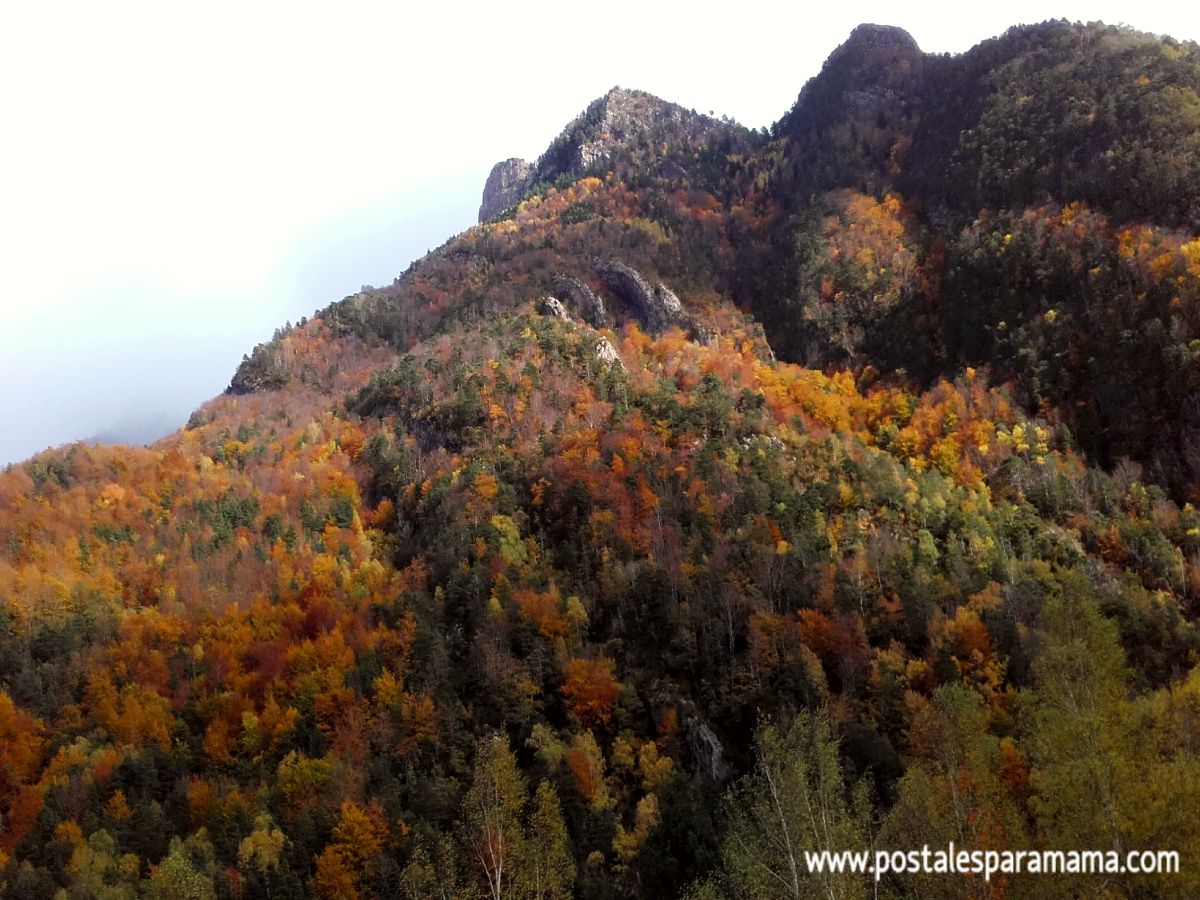 Bosques Aragón Otoño - Postales para Mamá